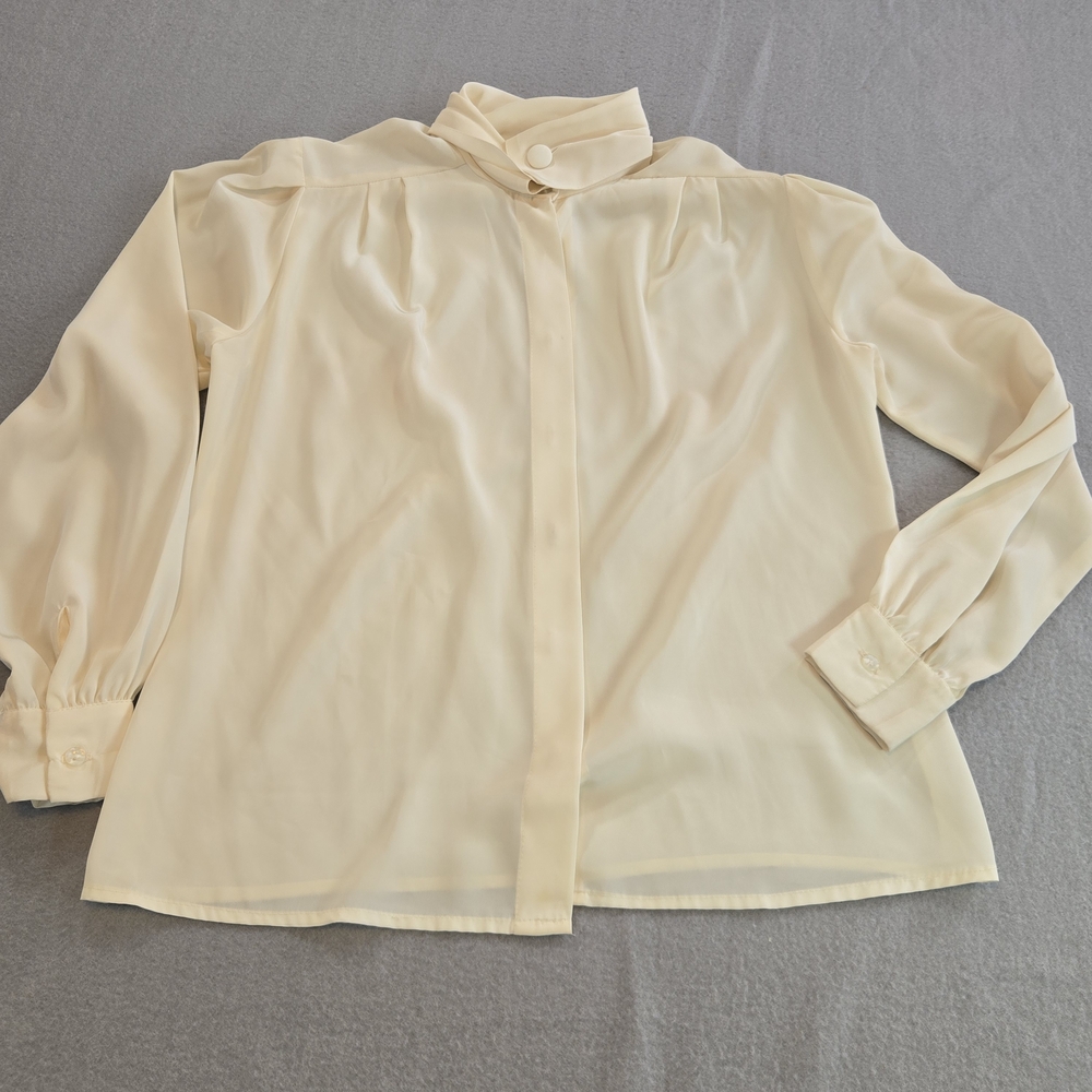 Anna Kriste Petite Cream Sheer Blouse Long Sleeve Button Neck Elegant Top Size 6